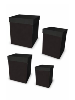 cubo gis negro mate línea colors